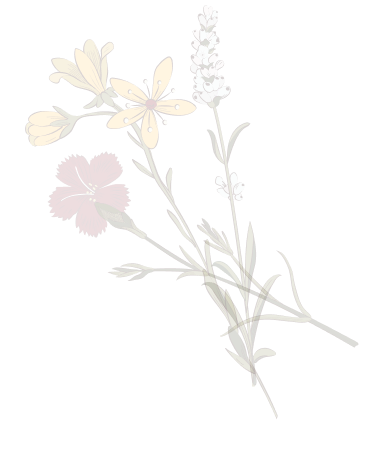 Flowers background